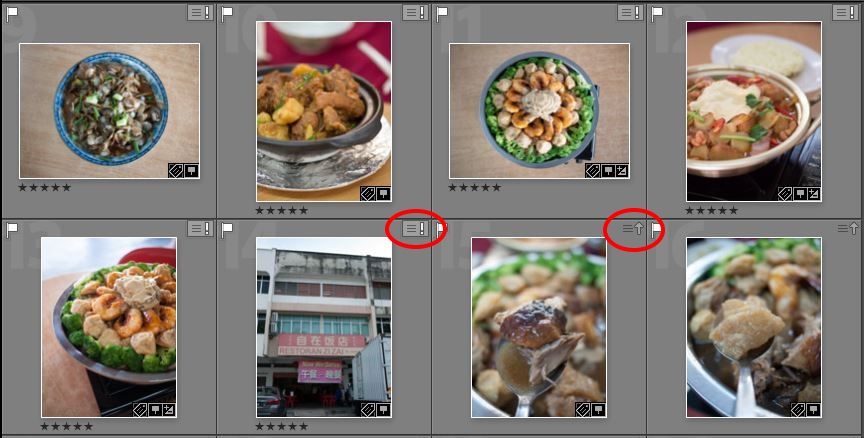lightroom_metadata_conflict_gallery.JPG